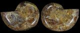 Cut & Polished, Agatized Ammonite Fossil - Jurassic #53817-1